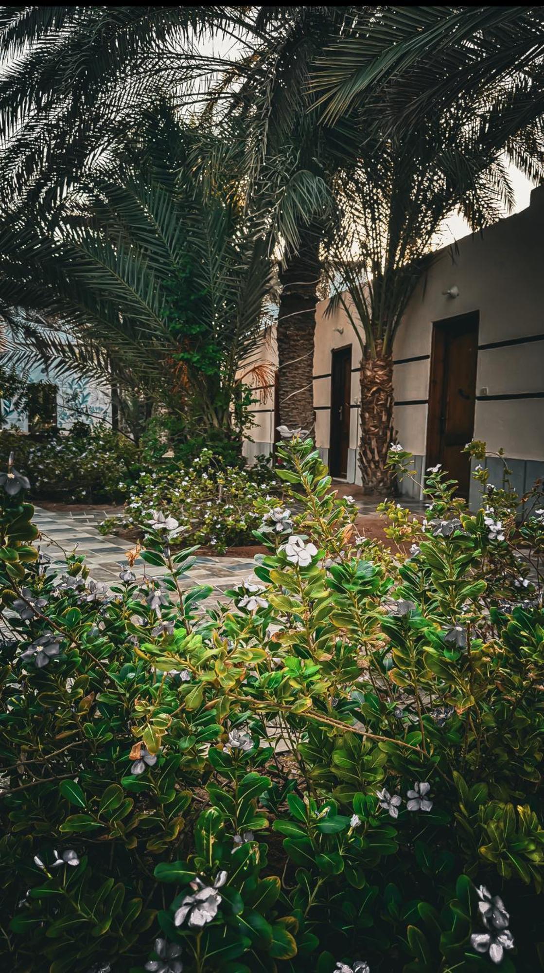 Miramar Camp Dahab Hotel Exterior photo
