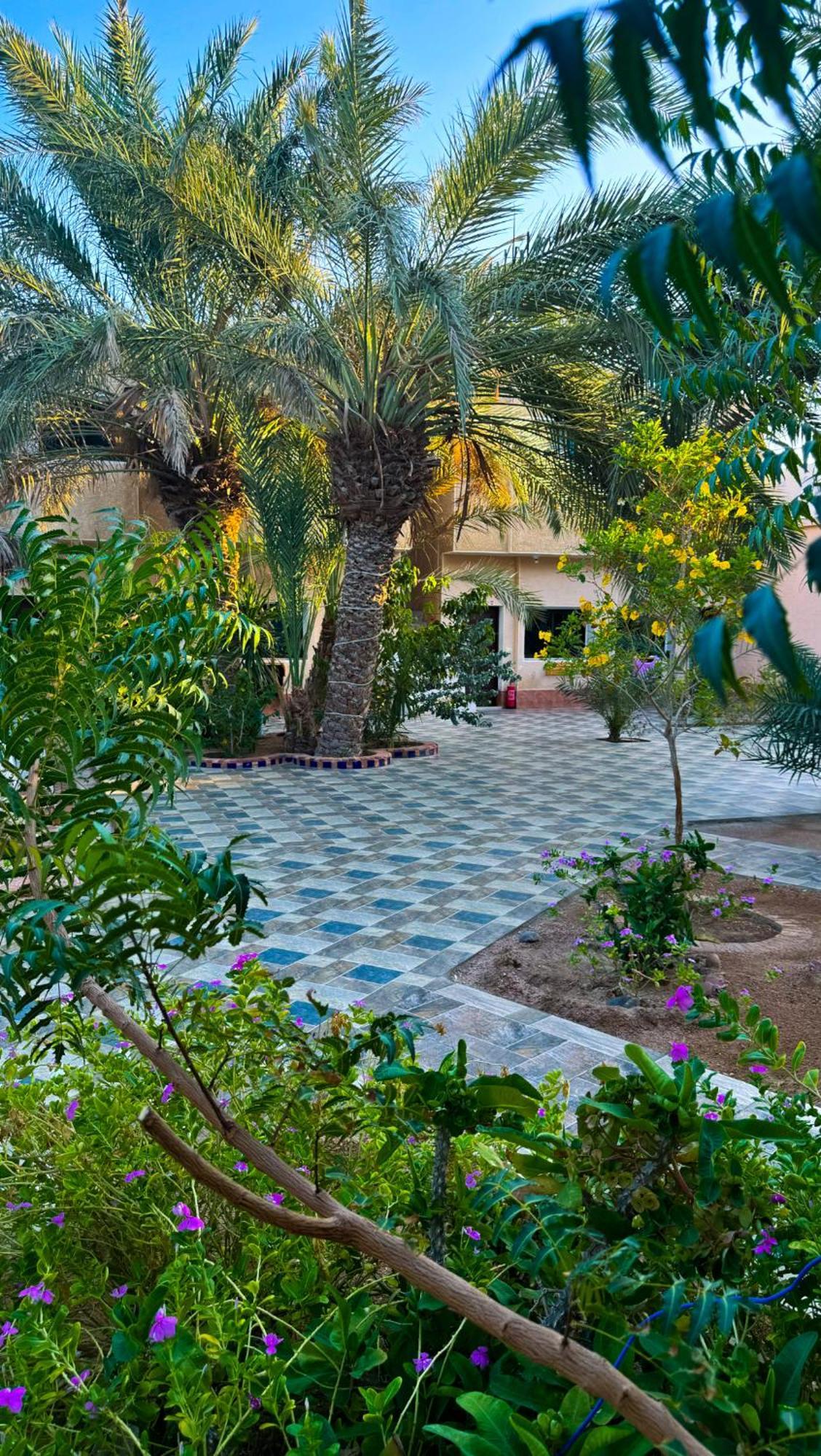 Miramar Camp Dahab Hotel Exterior photo