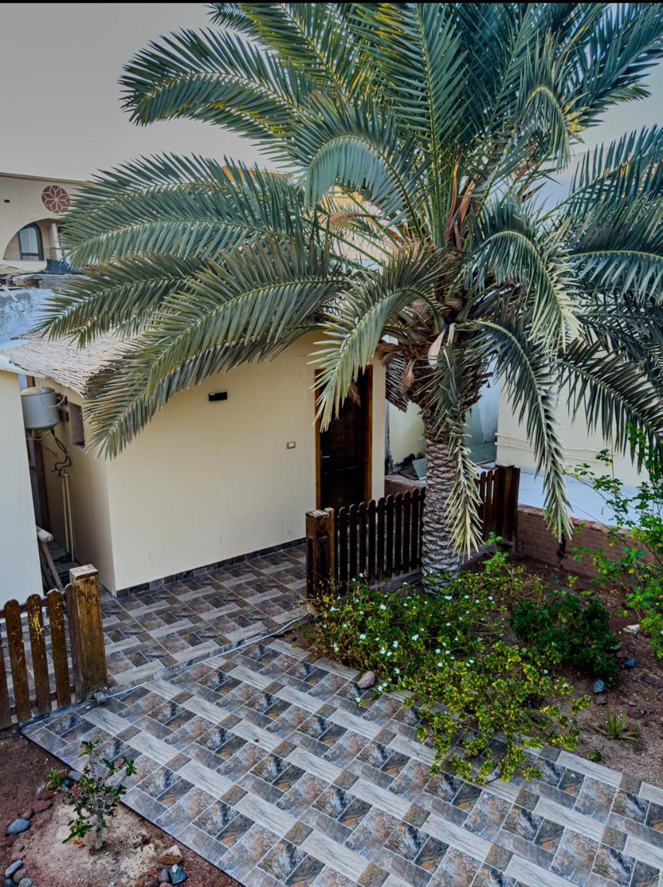 Miramar Camp Dahab Hotel Exterior photo