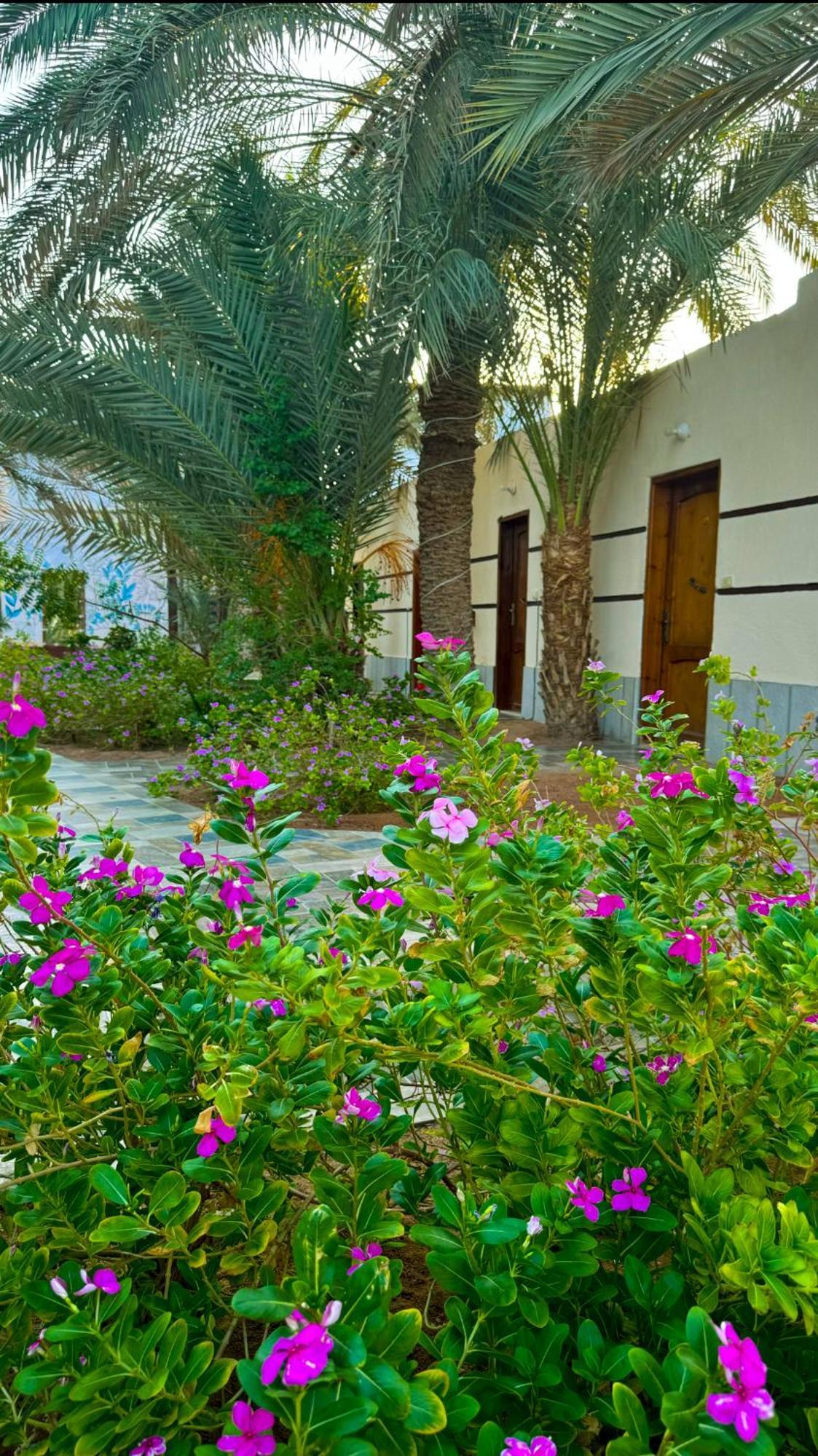 Miramar Camp Dahab Hotel Exterior photo