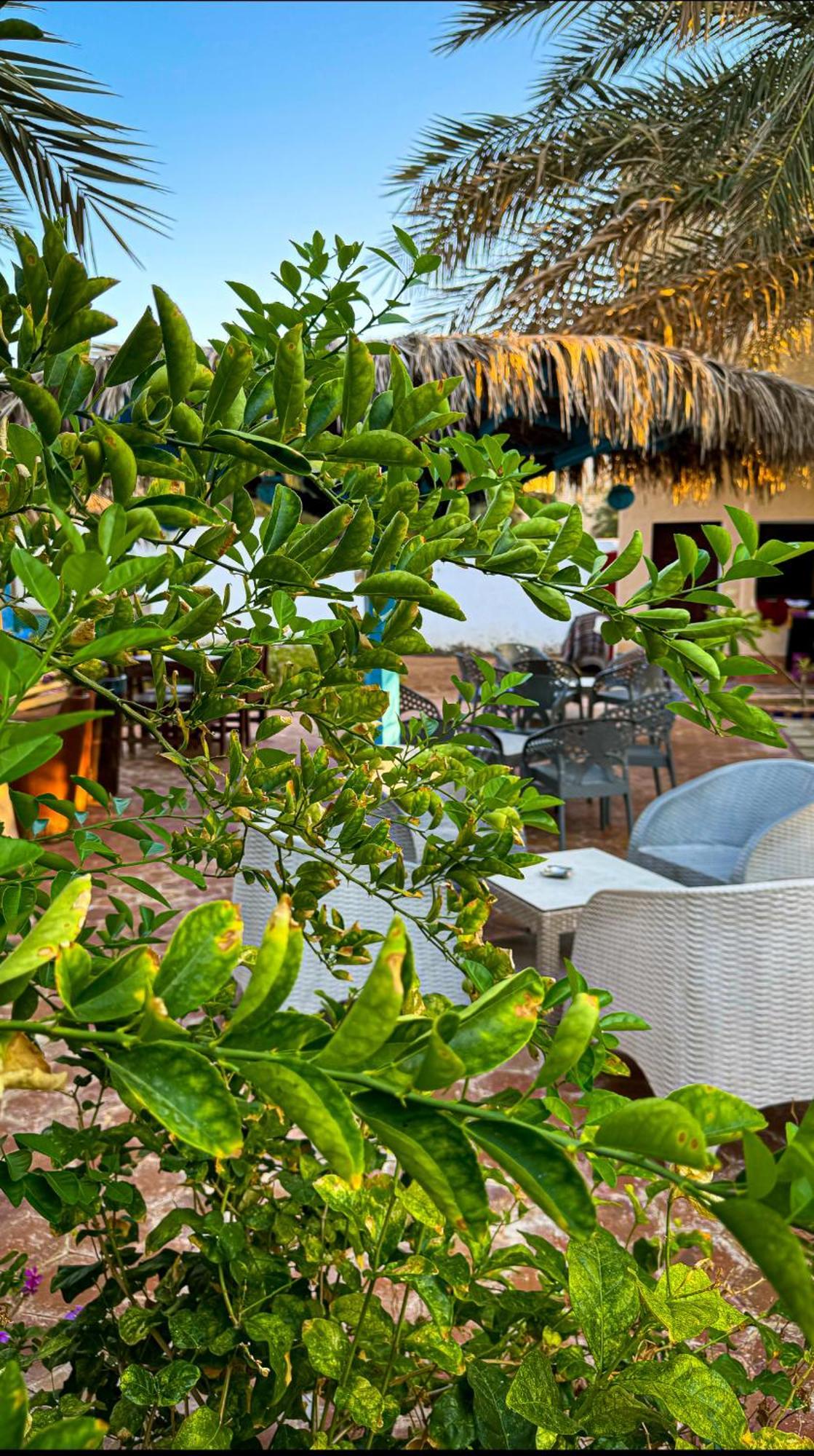 Miramar Camp Dahab Hotel Exterior photo