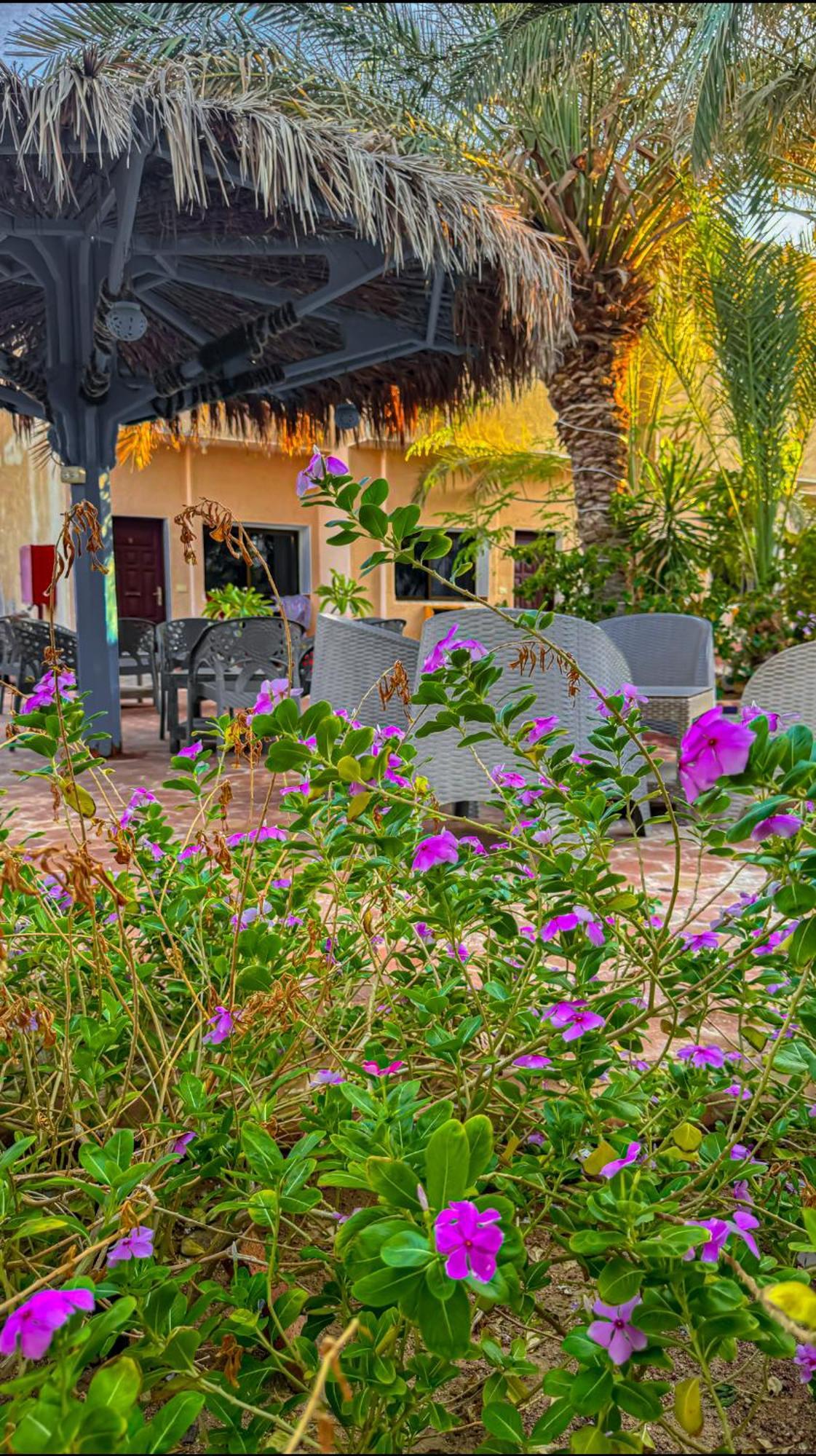 Miramar Camp Dahab Hotel Exterior photo