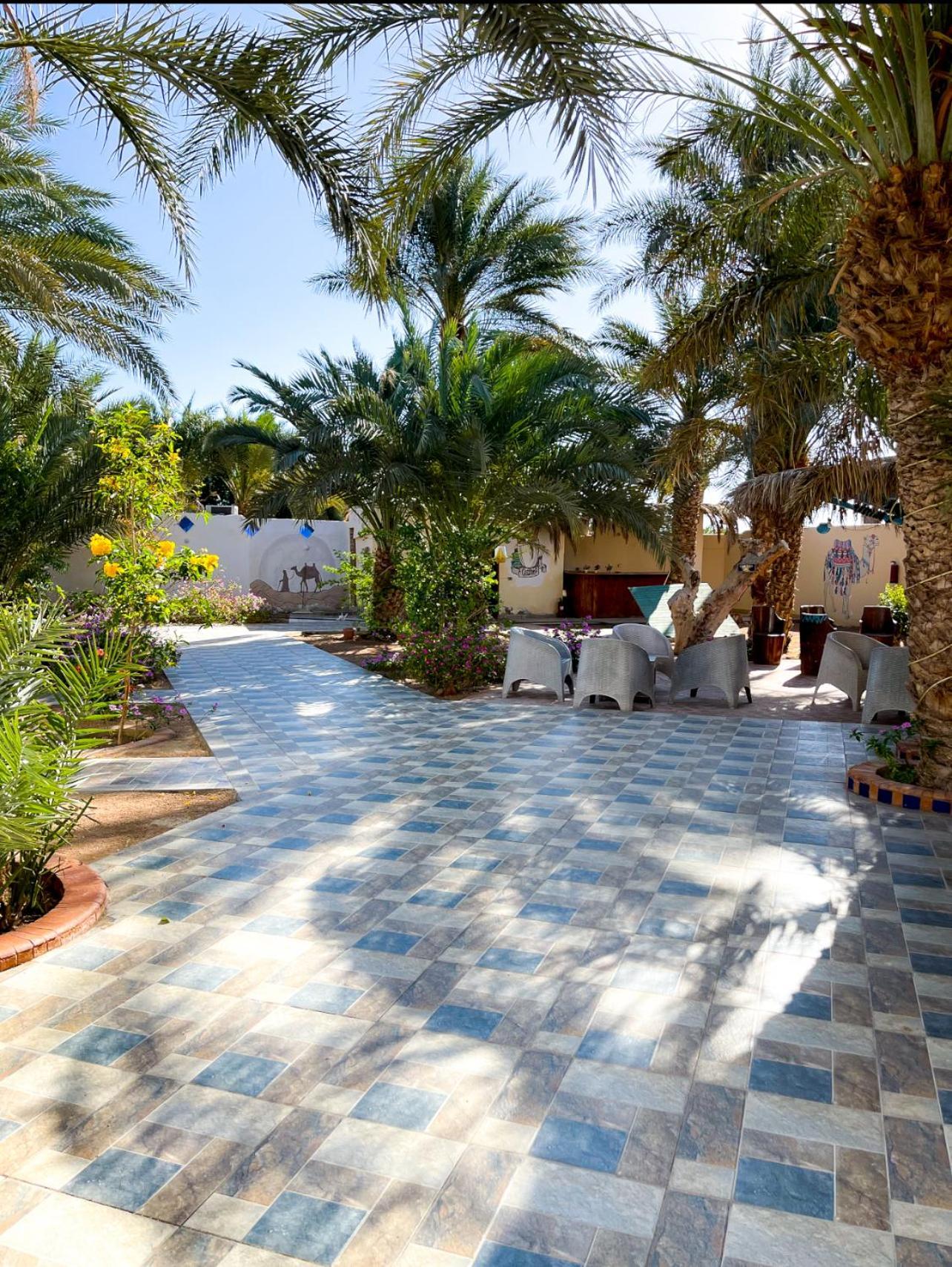 Miramar Camp Dahab Hotel Exterior photo
